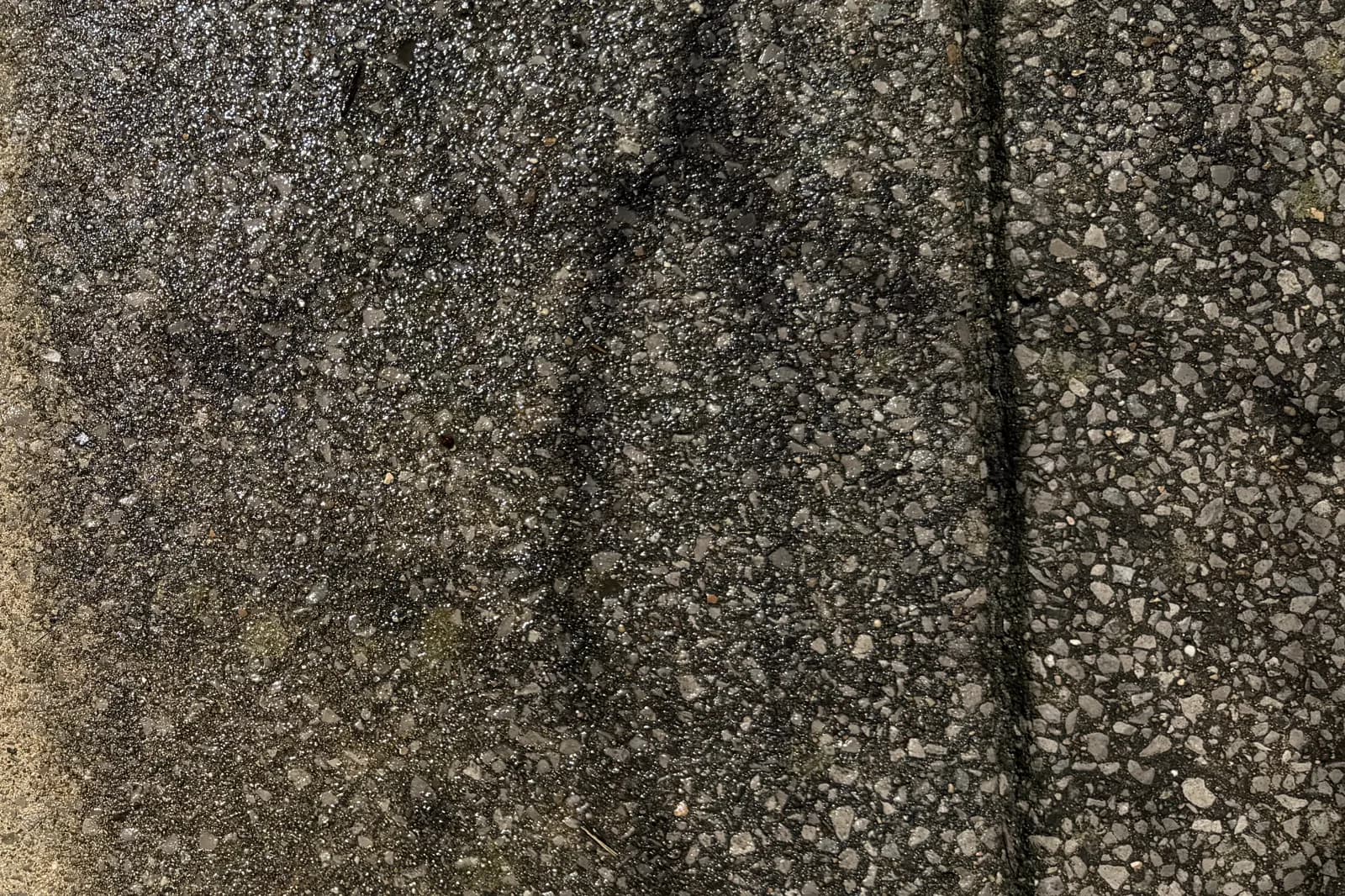 Driveway concrete before pressure washing with dark organic staining.